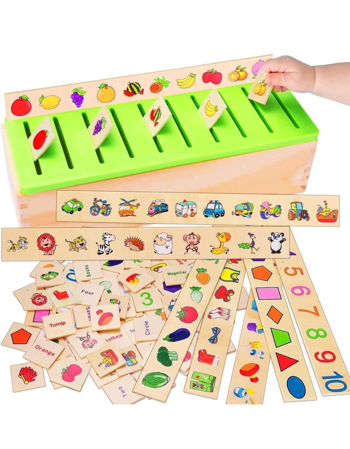 Little Minds Learning Toys Knowledge Classification Wooden Blocks for Children  | Preschool Kindergarten Games | Motor Skills STEM for 2-4 Year Old